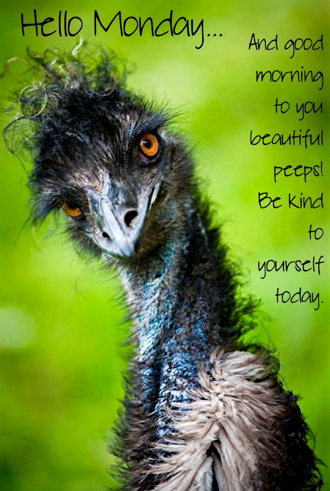 Screen Shot 2016-03-27 at 9.02.23 PM.png