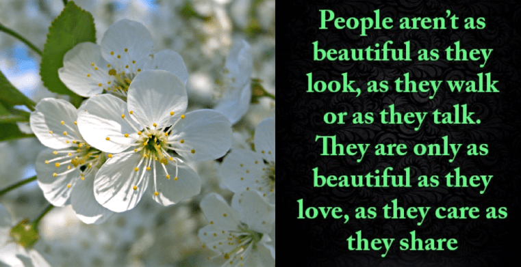 Screen Shot 2016-03-29 at 11.23.24 PM.png