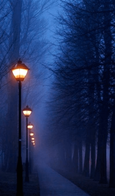 Screen Shot 2016-03-29 at 8.14.50 PM.png