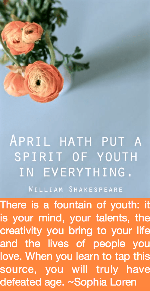 Screen Shot 2016-03-31 at 11.22.05 PM.png