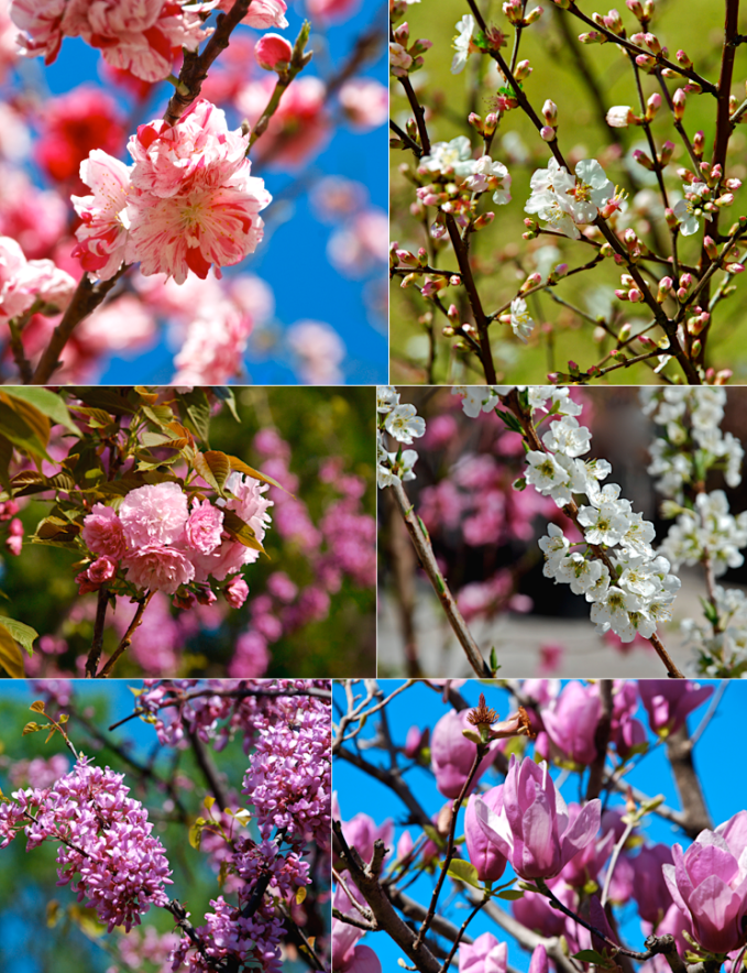 Screen Shot 2016-03-31 at 5.48.33 PM.png