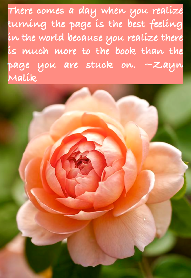 Screen Shot 2016-04-02 at 10.45.18 PM.png