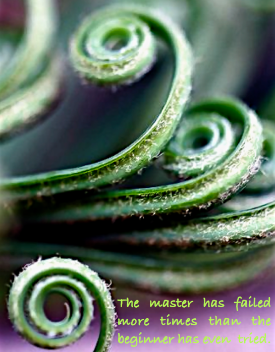 Screen Shot 2016-04-02 at 12.10.26 AM.png