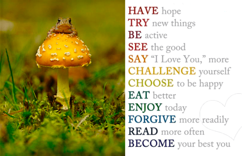 Screen Shot 2016-04-03 at 10.29.35 PM.png