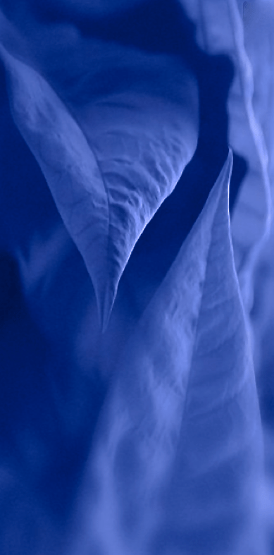 Screen Shot 2016-04-04 at 3.49.49 PM.png