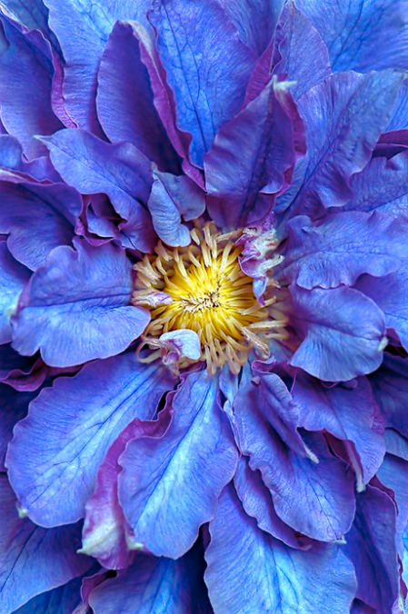 Screen Shot 2016-04-04 at 3.53.10 PM.png