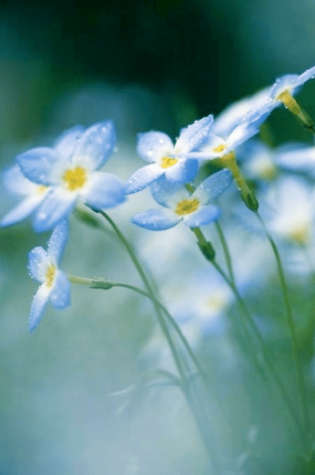 Screen Shot 2016-04-04 at 4.01.00 PM.png