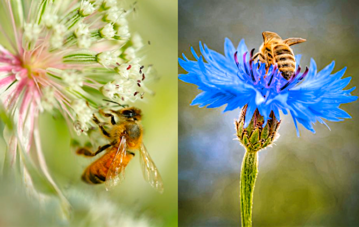 Screen Shot 2016-04-05 at 9.05.58 PM.png