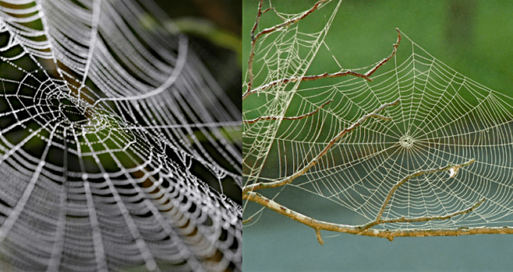 Screen Shot 2016-04-05 at 9.40.43 PM.png