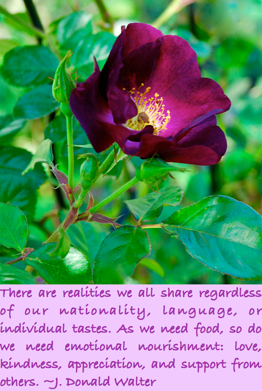 Screen Shot 2016-04-07 at 11.45.43 PM.png