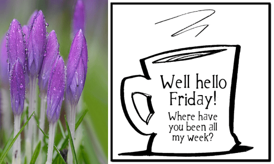 Screen Shot 2016-04-07 at 11.51.22 PM.png