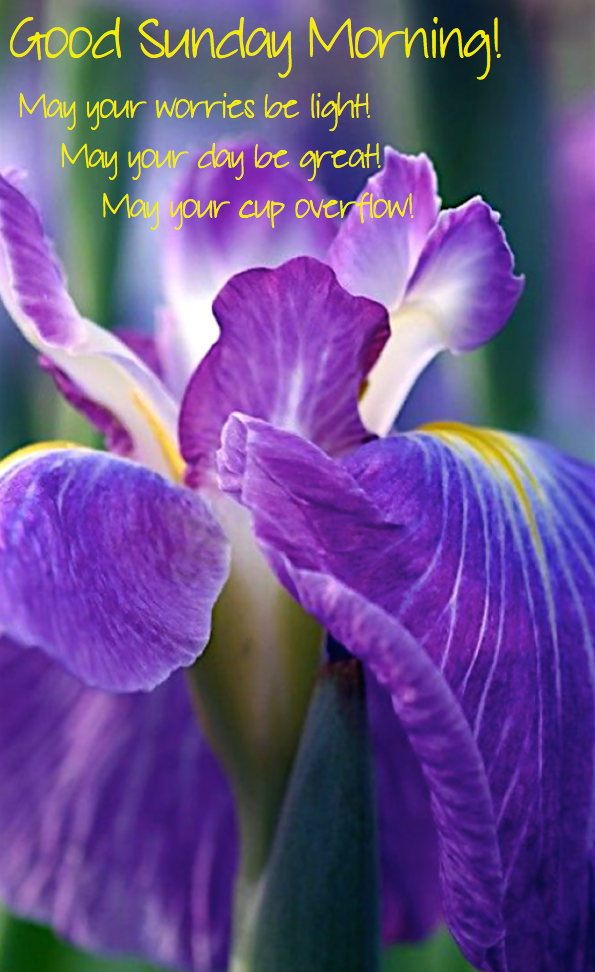 Screen Shot 2016-04-08 at 11.29.36 PM.png