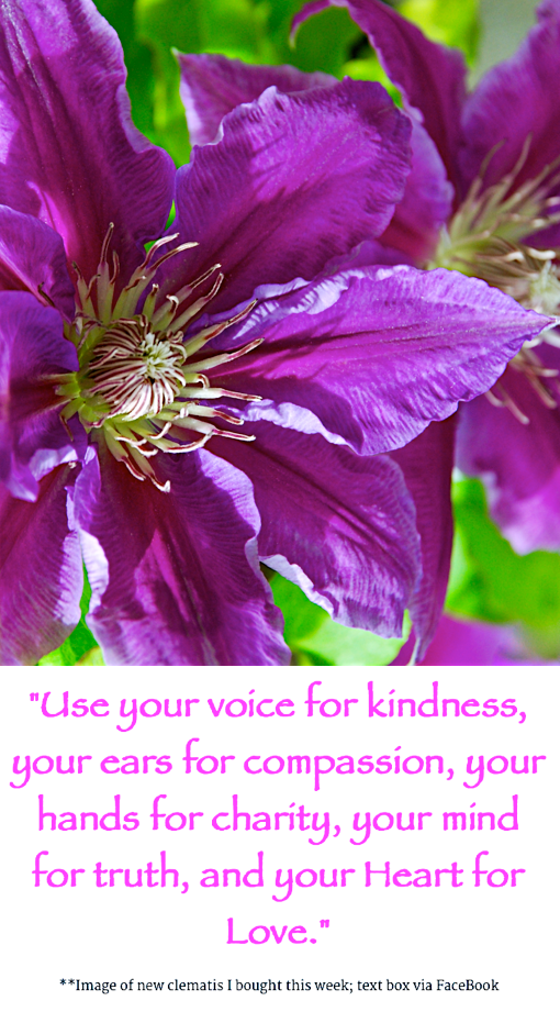 Screen Shot 2016-04-08 at 4.39.28 PM.png