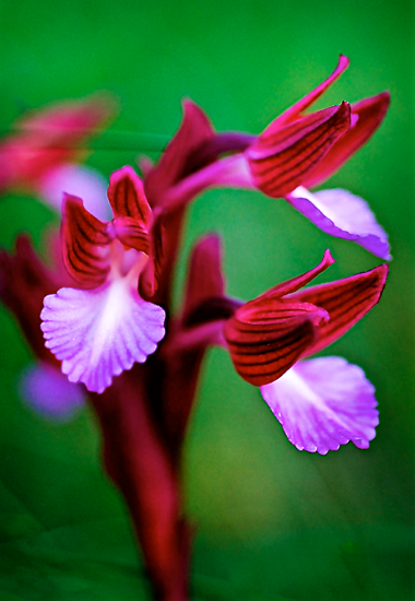 Screen Shot 2016-04-08 at 9.14.18 PM.png