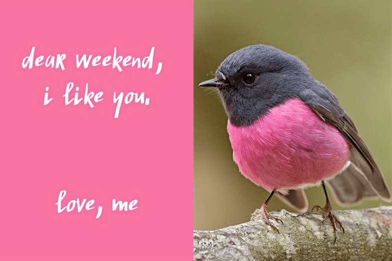 Screen Shot 2016-04-09 at 8.17.03 AM.png