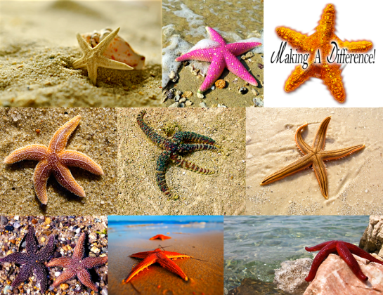 Screen Shot 2016-04-09 at 9.00.46 PM.png