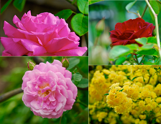 Screen Shot 2016-04-10 at 6.27.56 PM.png