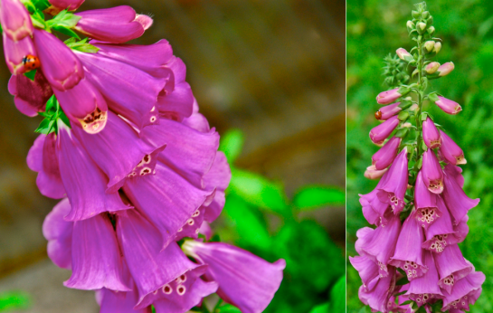 Screen Shot 2016-04-10 at 6.39.11 PM.png