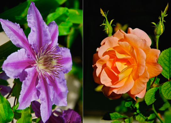 Screen Shot 2016-04-10 at 6.50.36 PM.png