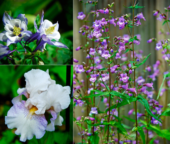 Screen Shot 2016-04-10 at 6.55.28 PM.png