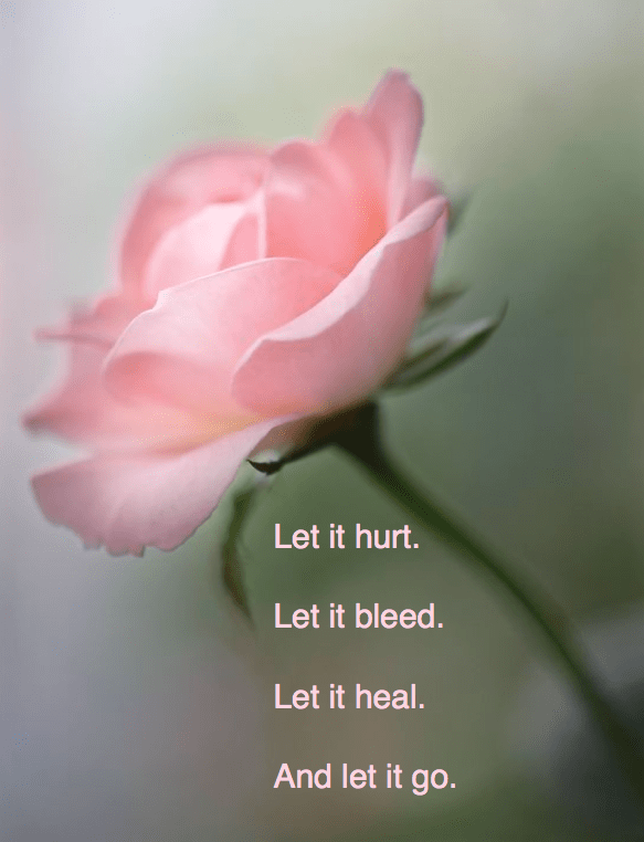 Screen Shot 2016-04-11 at 11.32.43 PM.png