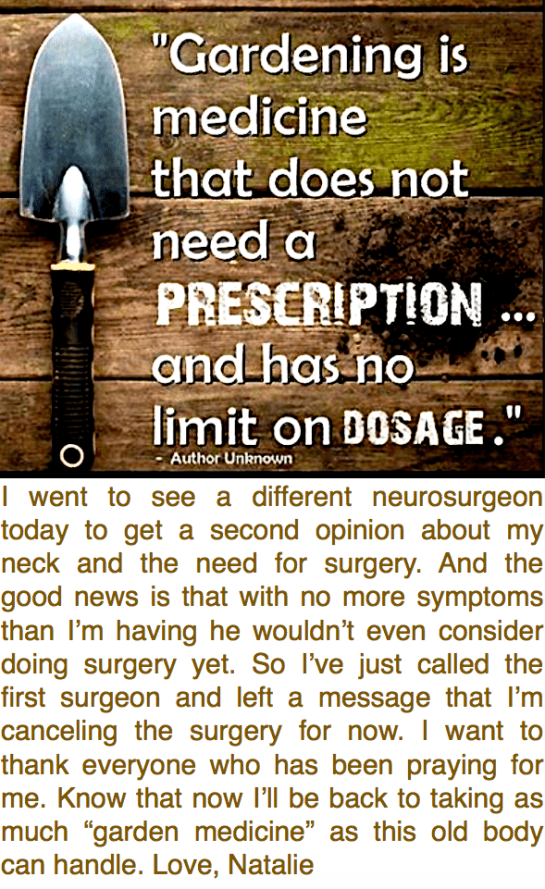 Screen Shot 2016-04-11 at 3.25.53 PM.png