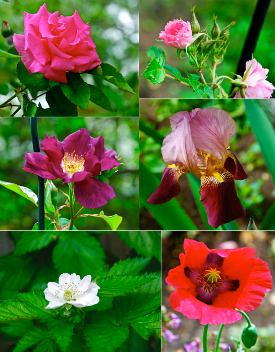 Screen Shot 2016-04-11 at 9.29.59 PM.png