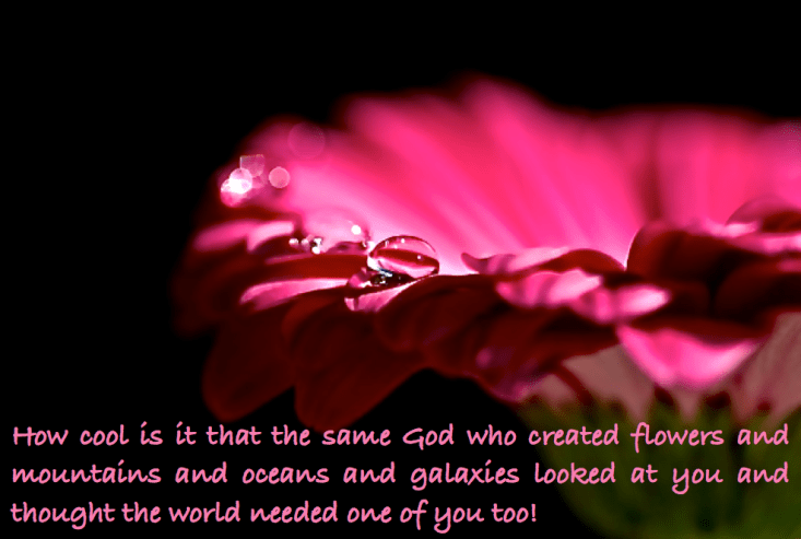 Screen Shot 2016-04-13 at 7.59.24 AM.png