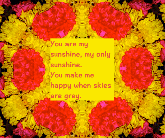 Screen Shot 2016-04-14 at 2.26.43 PM.png