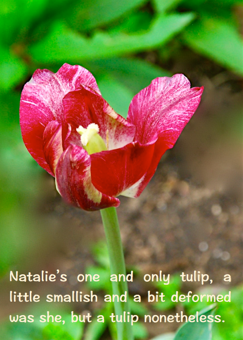 Screen Shot 2016-04-15 at 9.28.46 PM.png