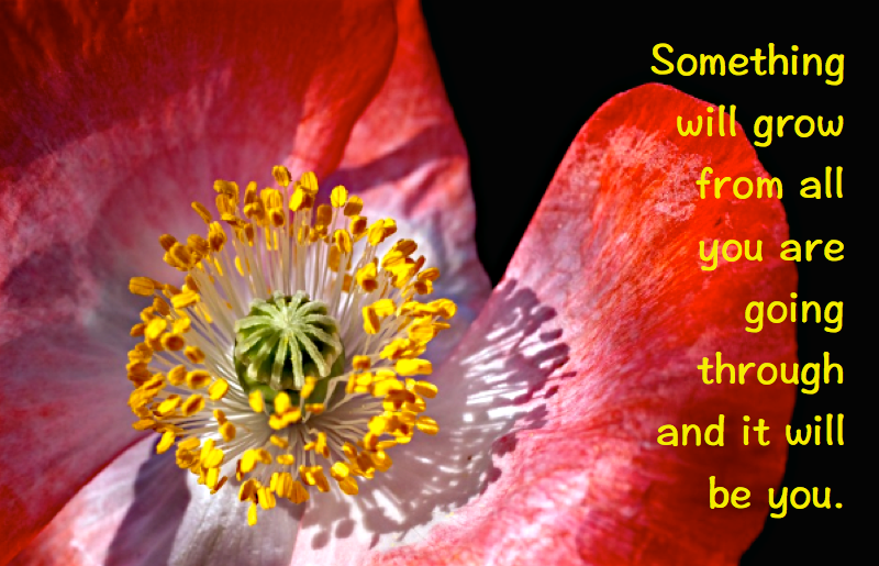 Screen Shot 2016-04-16 at 11.11.14 PM.png