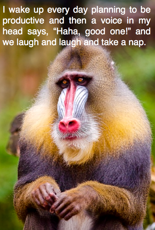 Screen Shot 2016-04-16 at 11.36.47 PM.png