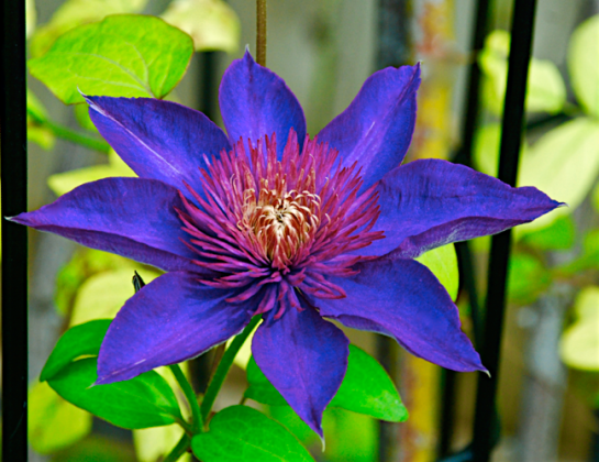 Screen Shot 2016-04-16 at 6.29.10 PM.png