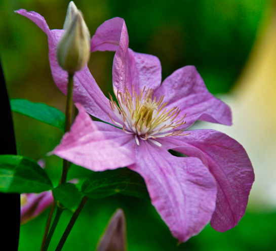 Screen Shot 2016-04-16 at 7.24.31 PM.png