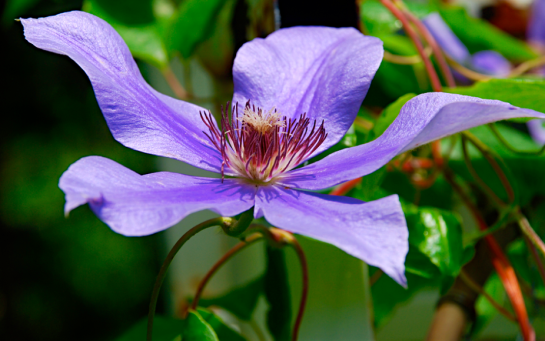 Screen Shot 2016-04-16 at 7.50.26 PM.png