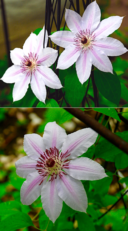 Screen Shot 2016-04-16 at 9.40.12 PM.png