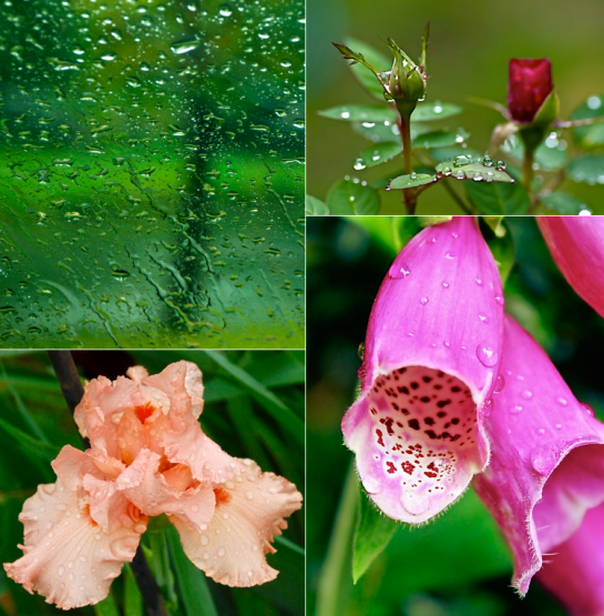 Screen Shot 2016-04-17 at 7.14.48 PM.png