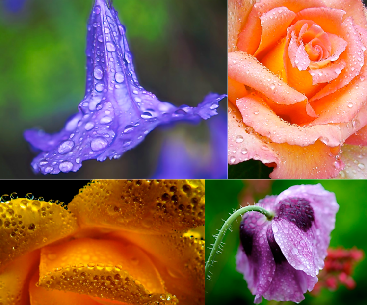 Screen Shot 2016-04-17 at 7.26.52 PM.png