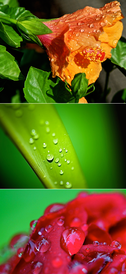 Screen Shot 2016-04-17 at 7.39.55 PM.png