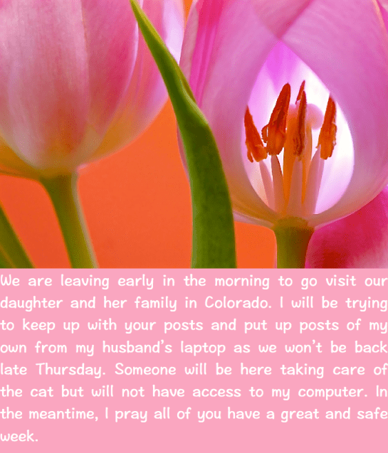 Screen Shot 2016-04-17 at 9.12.54 PM.png