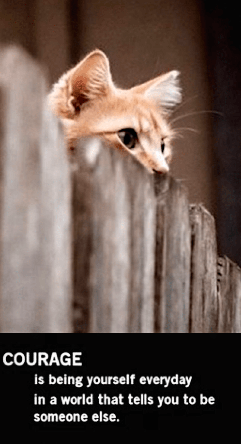 Screen Shot 2016-04-22 at 1.54.24 PM.png