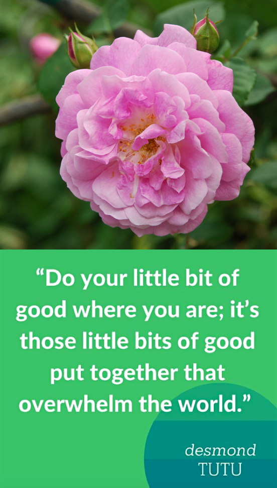 Screen Shot 2016-04-22 at 10.08.31 PM.png