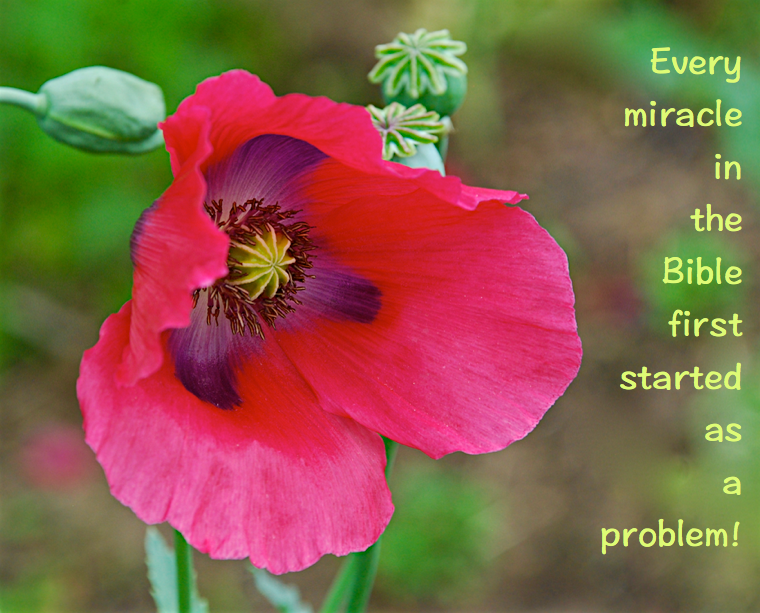 Screen Shot 2016-04-22 at 10.21.27 PM.png