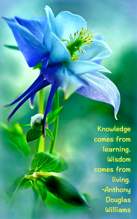 Screen Shot 2016-04-23 at 2.28.42 PM.png