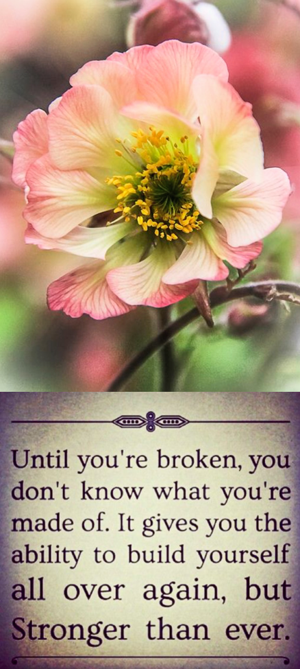 Screen Shot 2016-04-24 at 11.02.21 PM.png