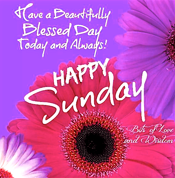 Screen Shot 2016-04-24 at 9.56.57 AM.png