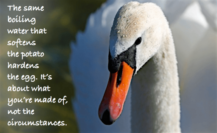 Screen Shot 2016-04-25 at 11.08.12 PM.png