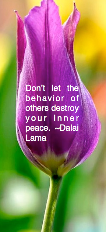 Screen Shot 2016-04-25 at 11.12.34 PM.png