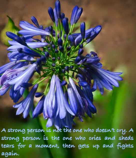 Screen Shot 2016-04-25 at 11.17.12 PM.png