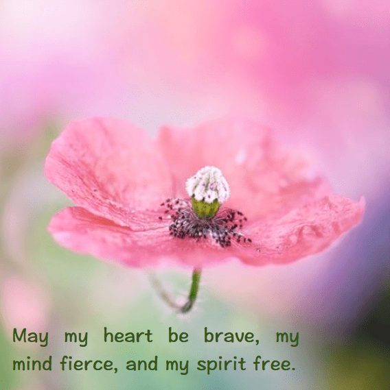 Screen Shot 2016-04-25 at 11.20.21 PM.png